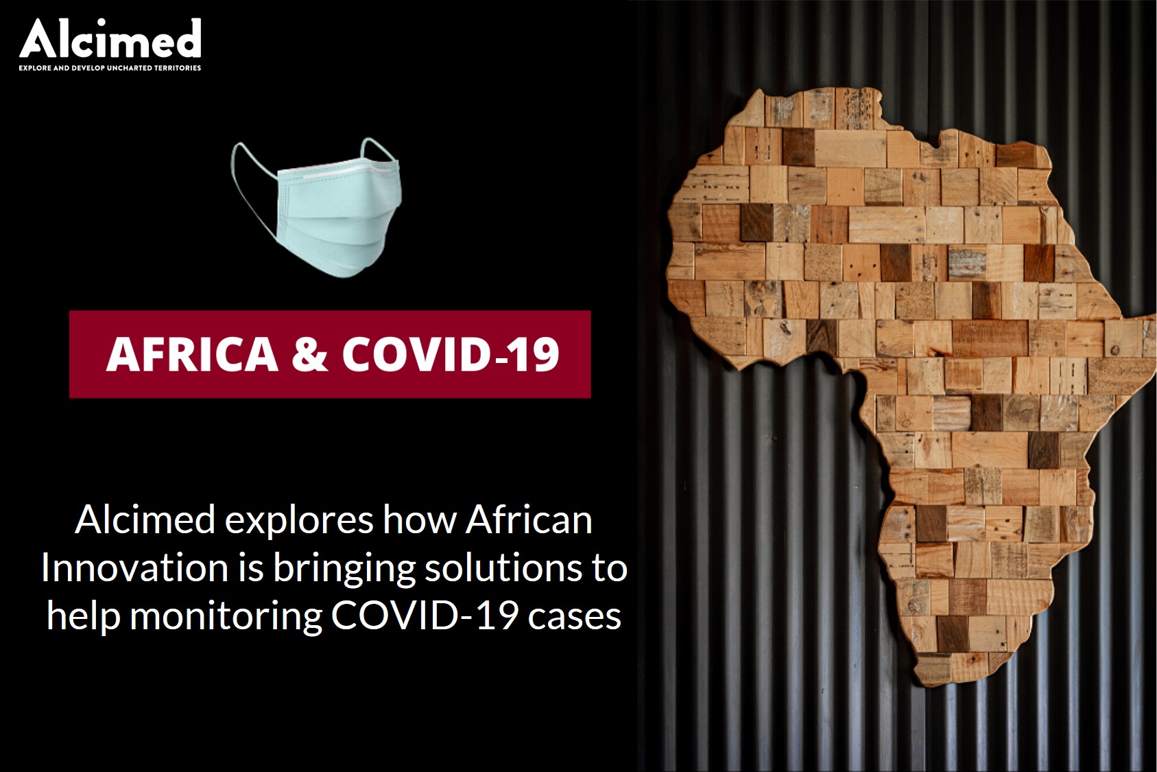 african Innovation consulting
