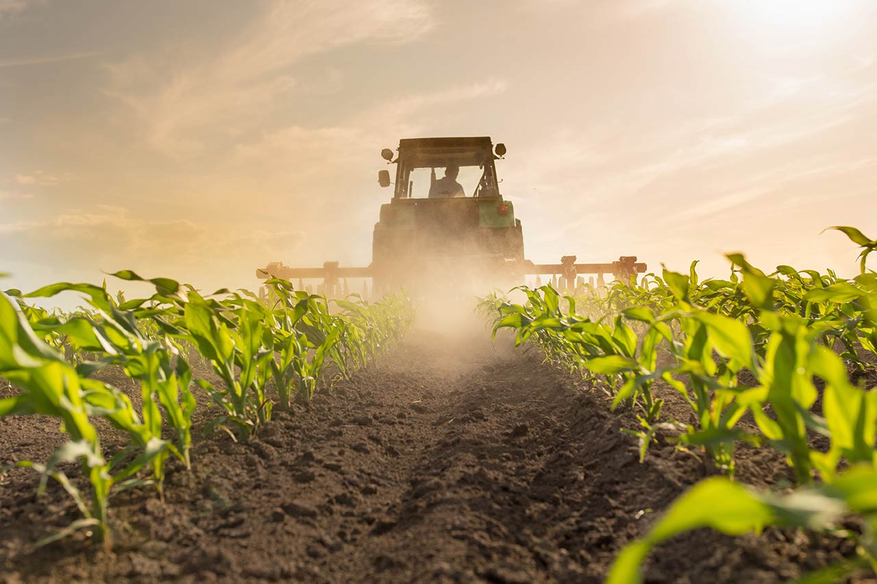 agriculture agence cabinet conseil consulting