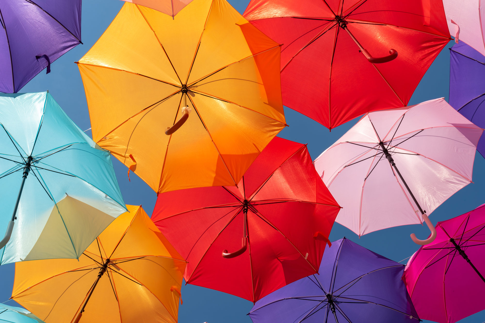 Antibioresistance Agency Consulting firm Experts Specialists Consultancy