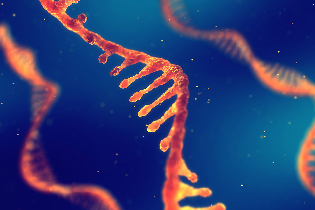 RNA agence cabinet conseil consulting