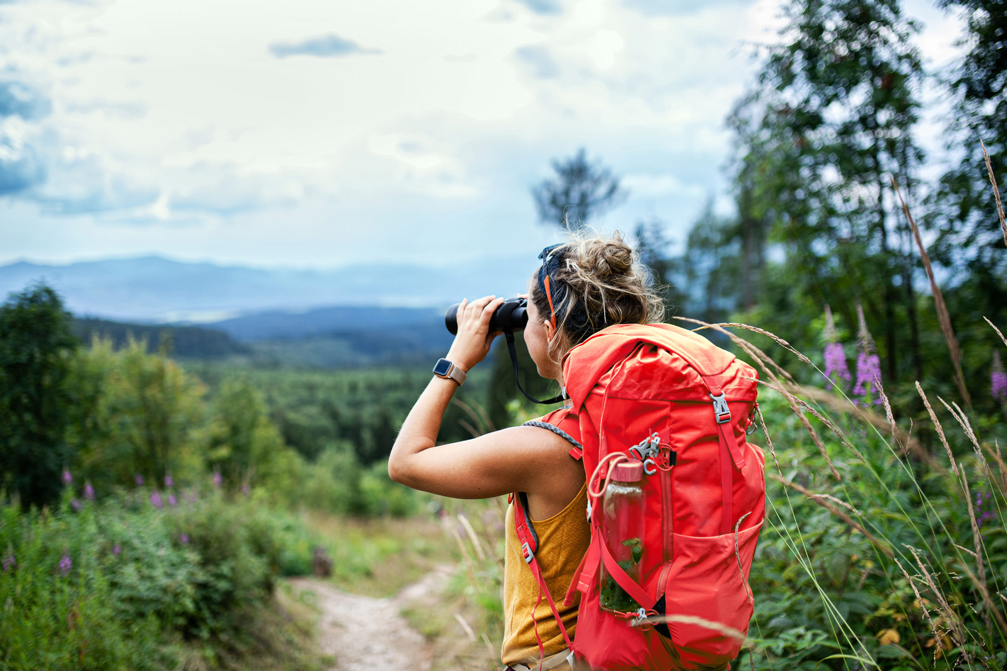 Benchmark Pharma agency consulting consultancy experts