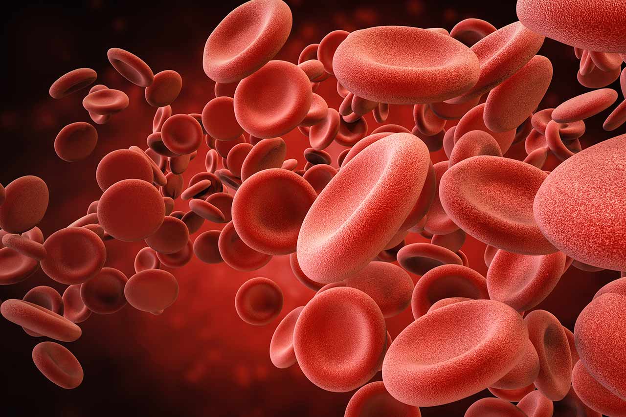 cancer treatment optimization agence cabinet conseil consulting