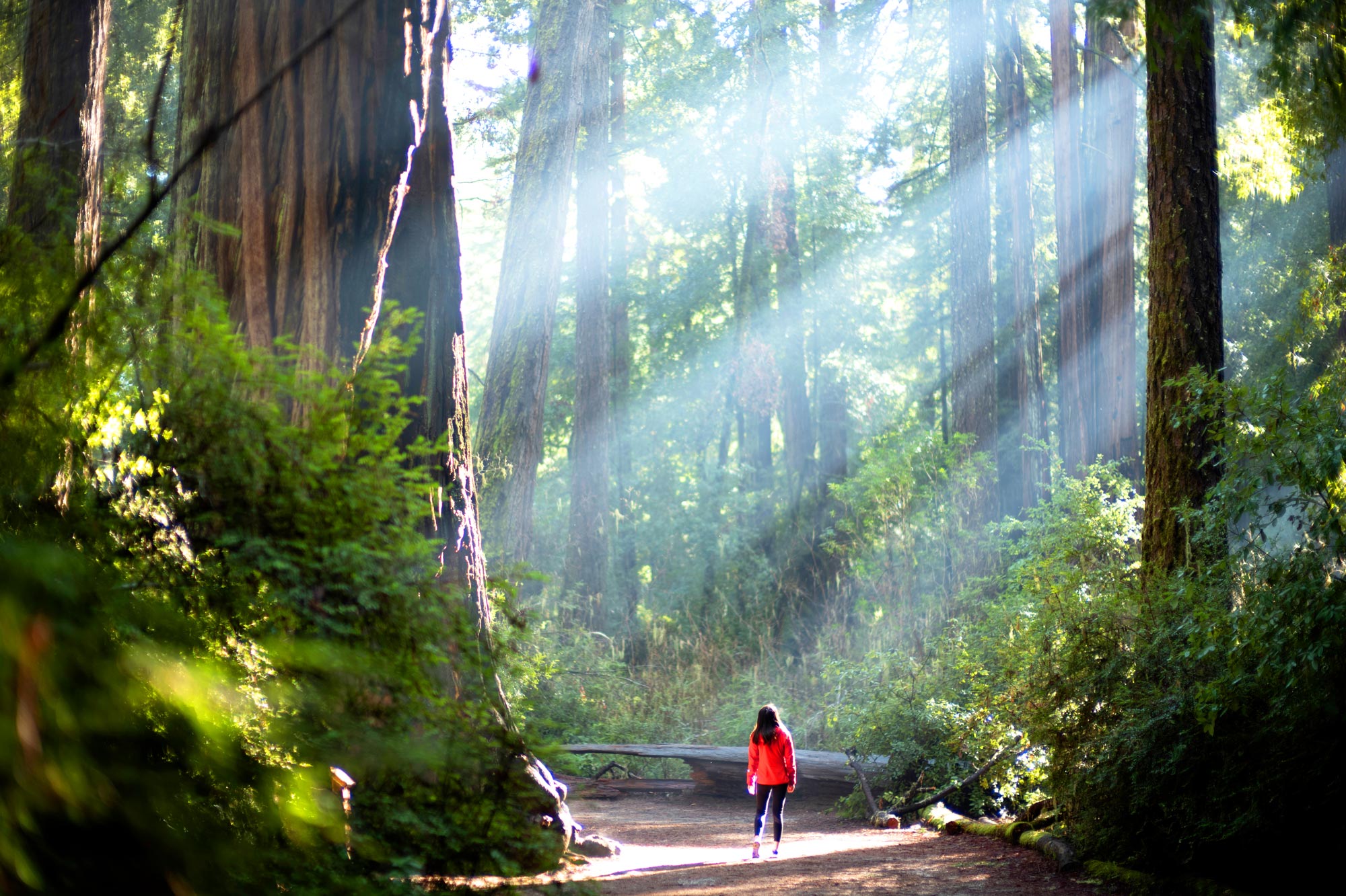 Climate environment Agency Consulting firm Experts Specialists Consultancy