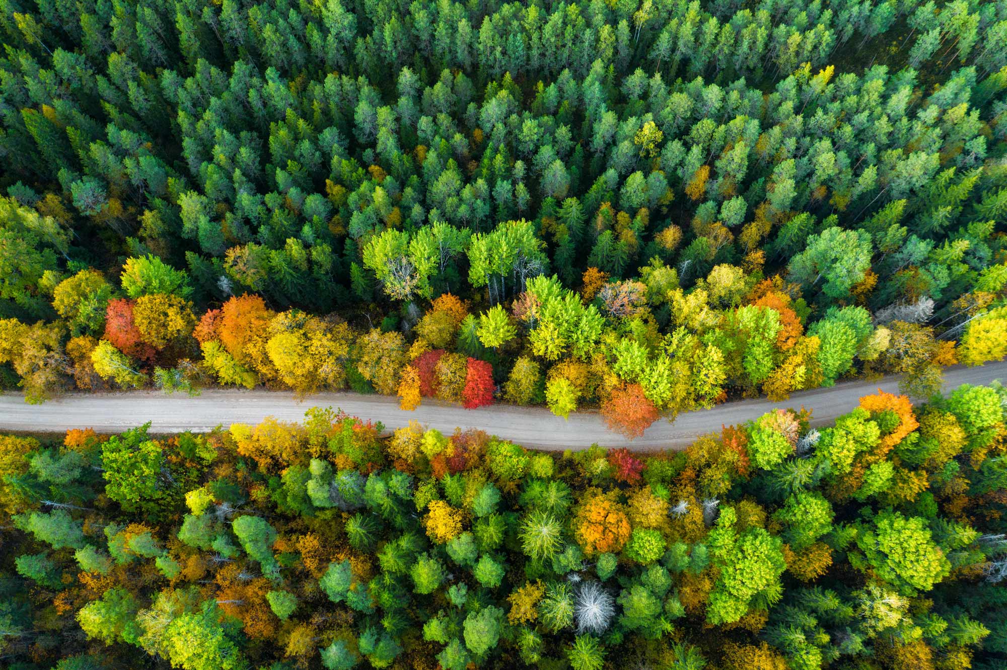 Sustainability Agency Consulting firm Experts Specialists Consultancy