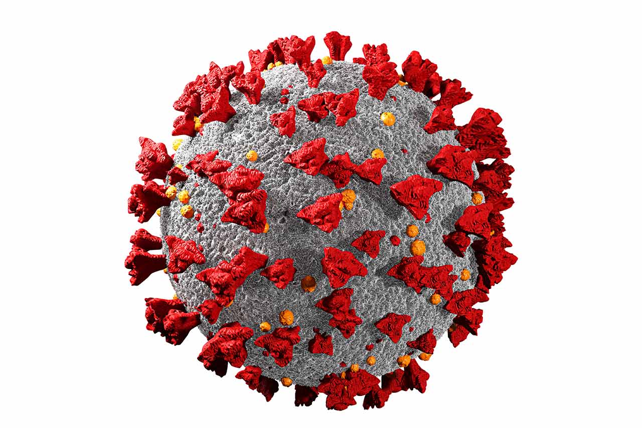 covid 19 and cancer agence cabinet conseil consulting