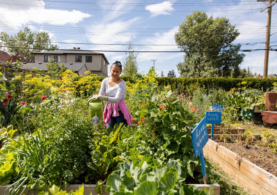 exposome agence cabinet conseil consulting