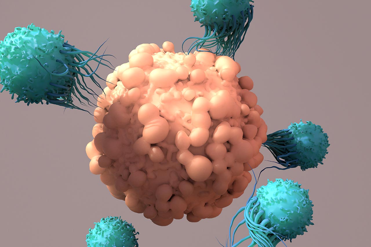 icd agence cabinet conseil consulting