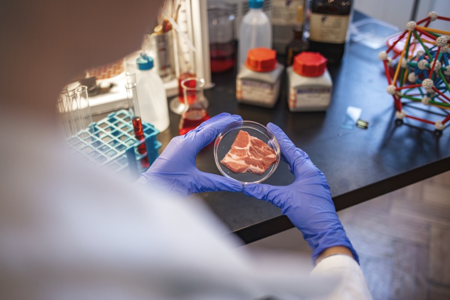 Cellular agriculture agence cabinet conseil consulting