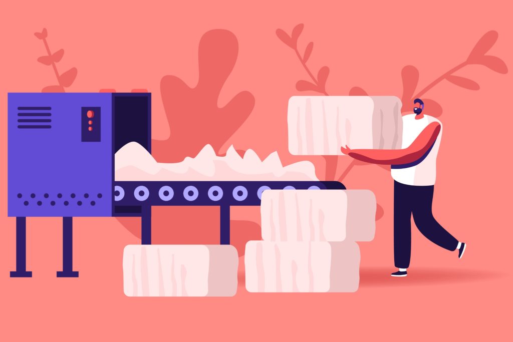 vegetable fiber agence cabinet conseil consulting