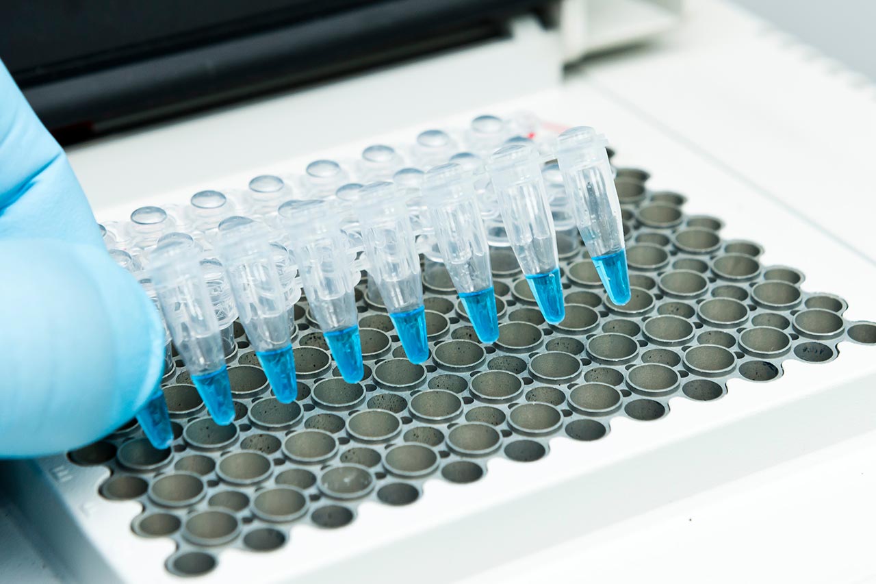 Oligonucléotides agence cabinet conseil consulting