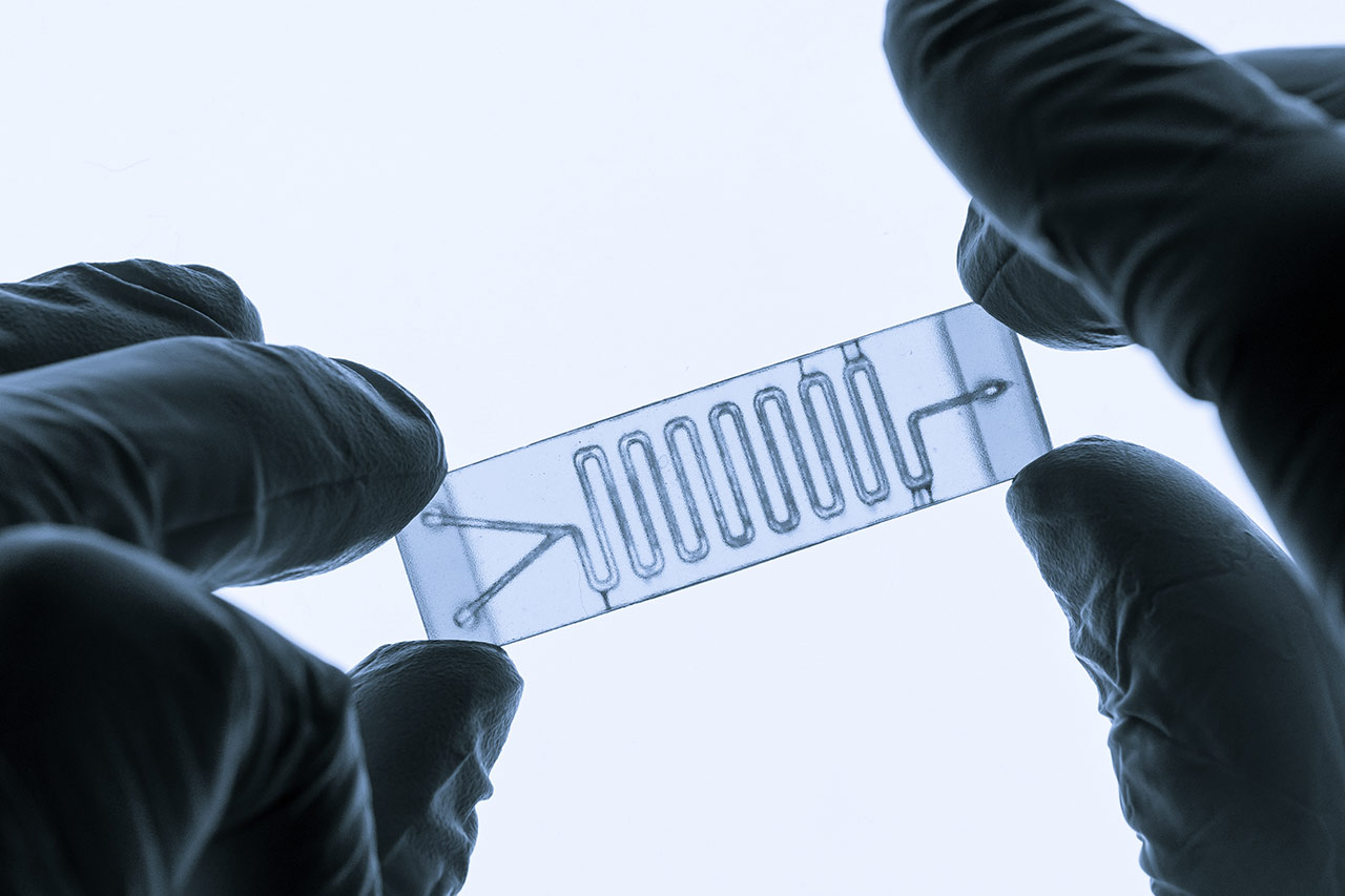 Organ-on-a-chip agence cabinet conseil consulting