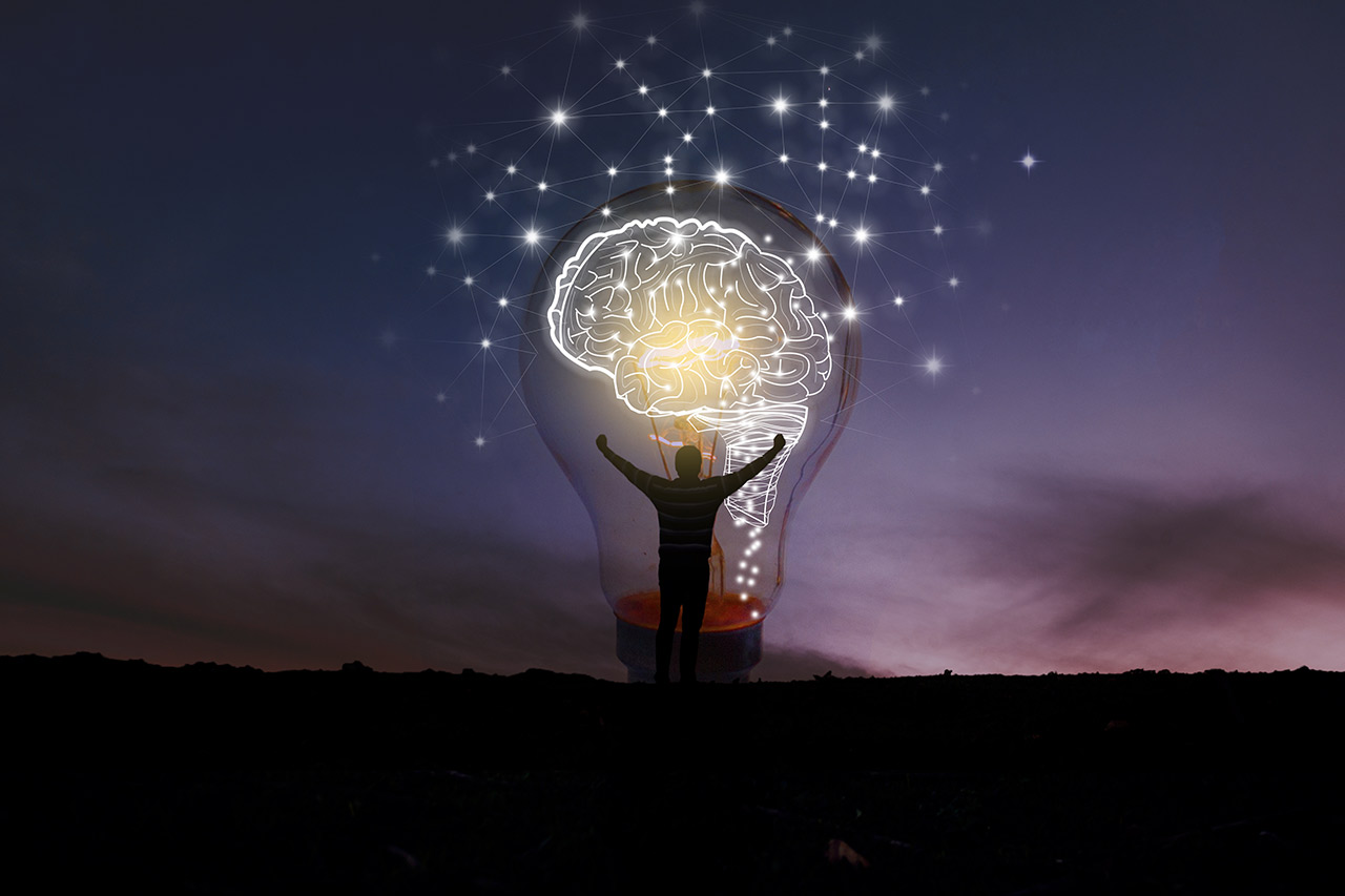 Spatial parallels and the brain agence cabinet conseil consulting