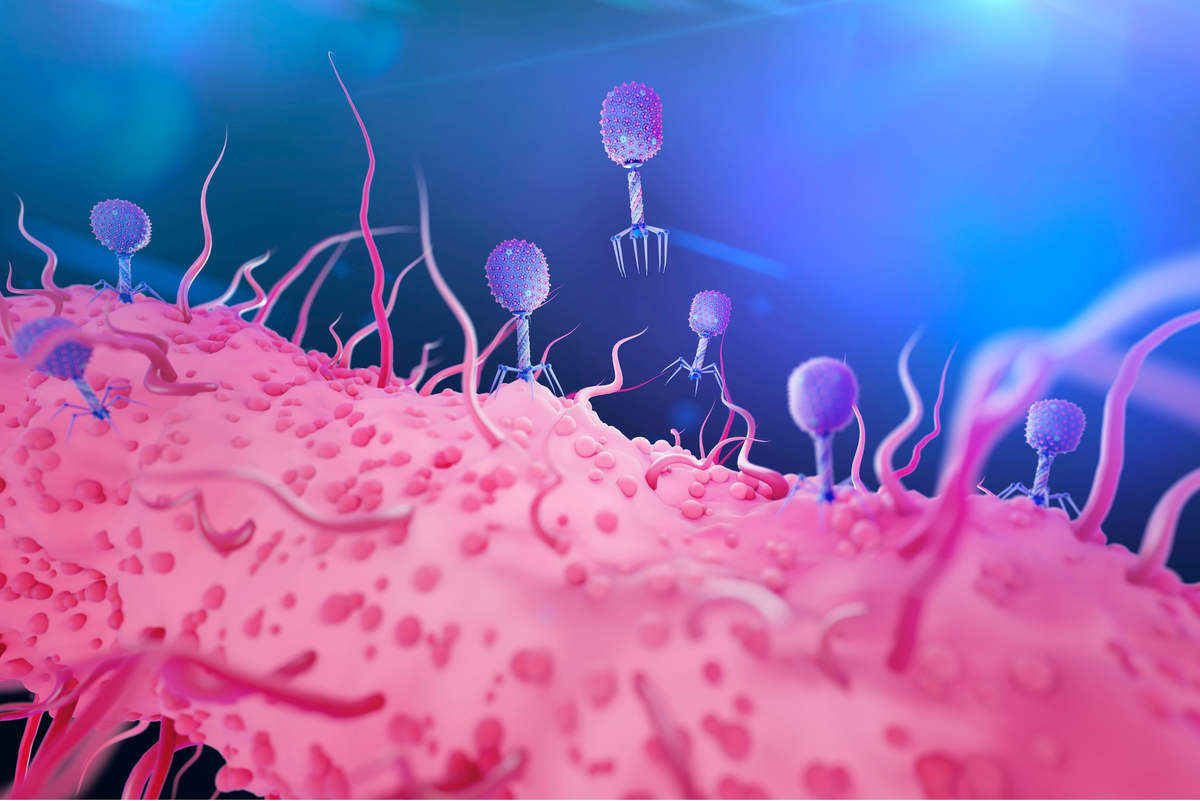 phage therapy agency consulting consultancy experts