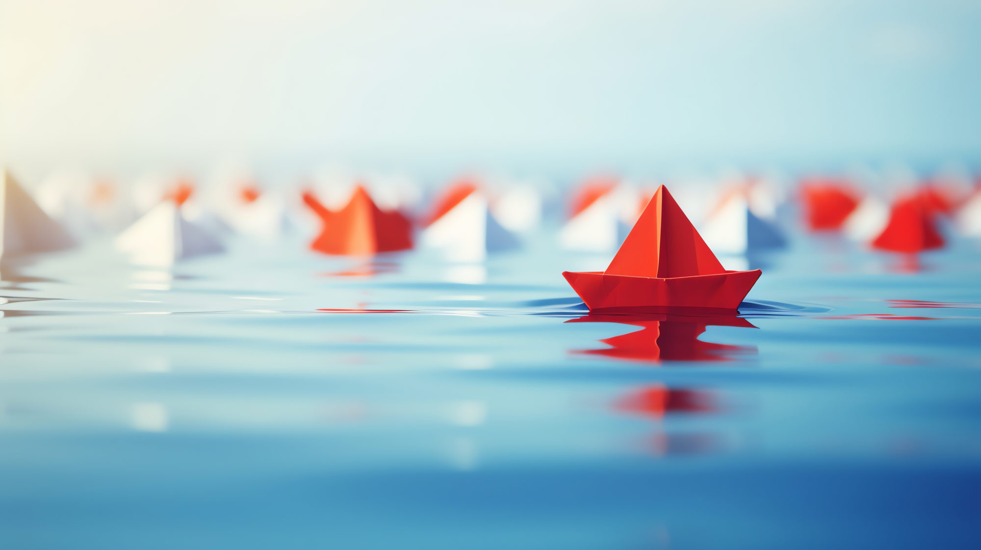 Proof of concept Agency Consulting firm Experts Specialists Consultancy