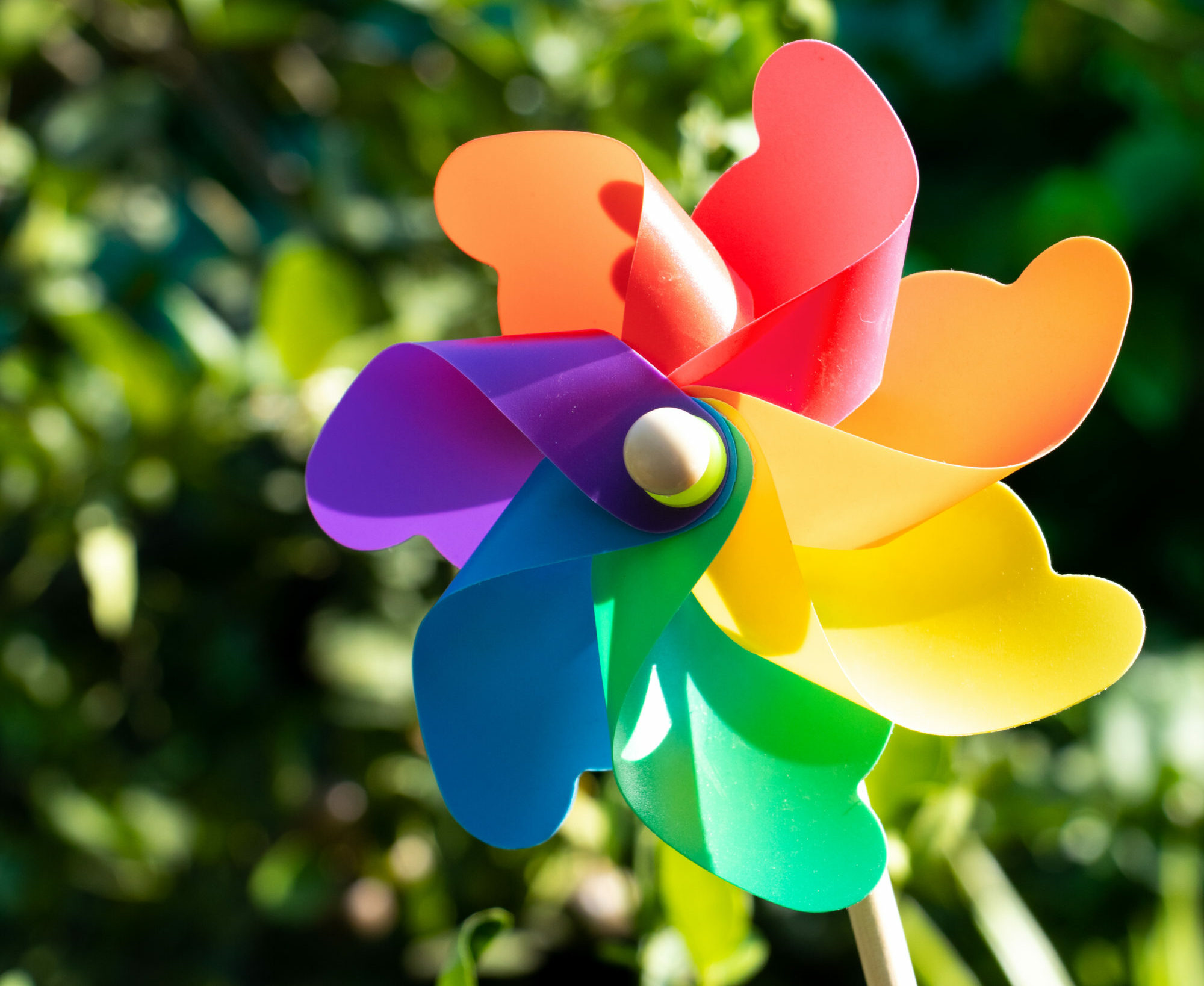 Energy environment Agency Consulting firm Experts Specialists Consultancy