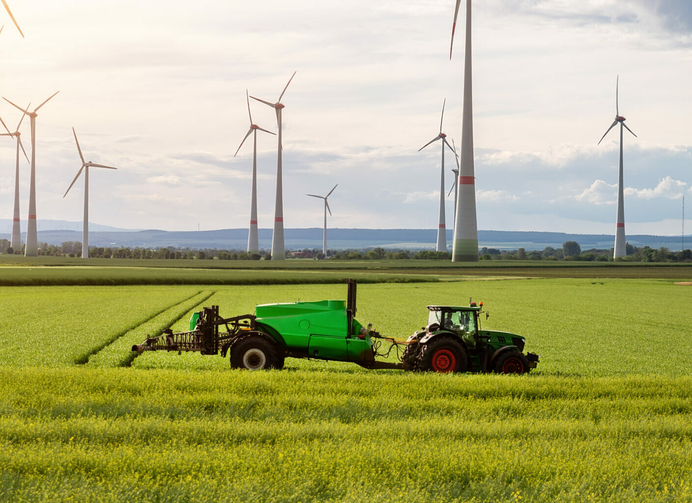 sustainable business model agency consulting consultancy experts