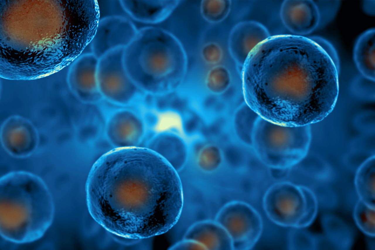 tumor agnostic treatments agence cabinet conseil consulting