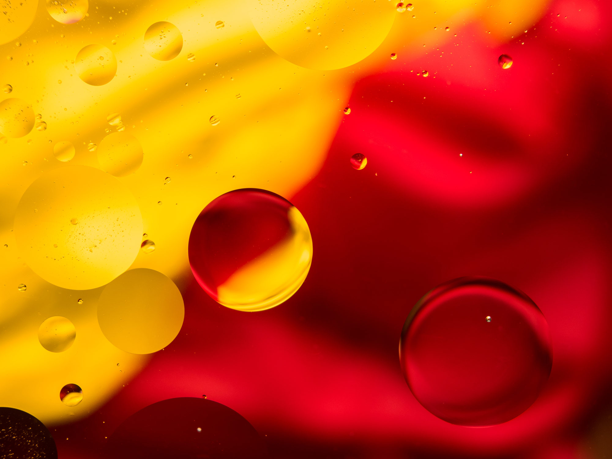 Translational research Agency Consulting firm Experts Specialists Consultancy